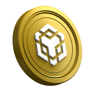 BNB di halaman panduan untuk trader pemula